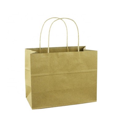 High quality recyclable twist handle plain brown kraft custom paper shopping bag